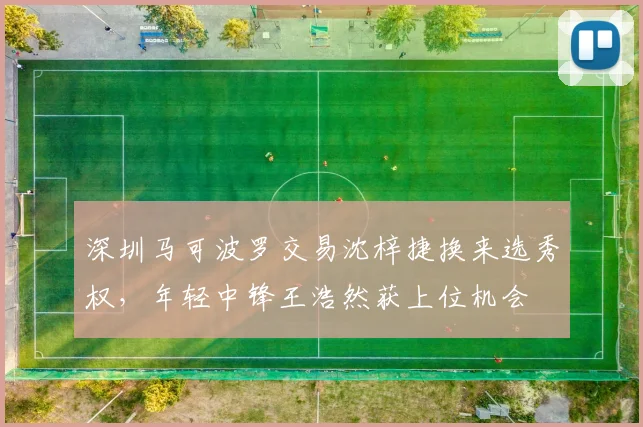 深圳马可波罗交易沈梓捷换来选秀权，年轻中锋王浩然获上位机会